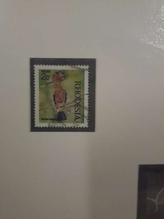 Rhodesia - Variety - Clearance sale