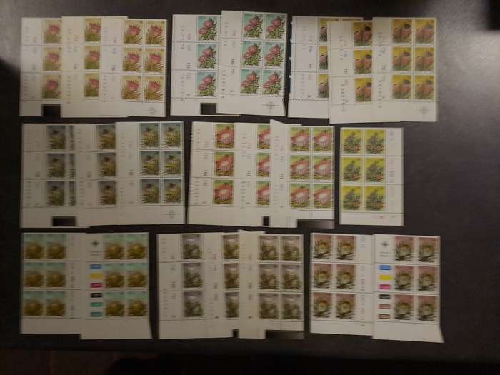 1.2 South Africa - Clearance sale