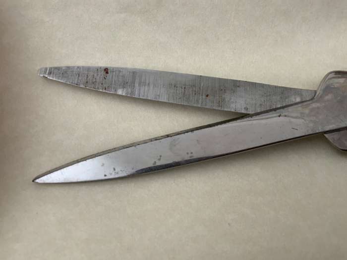 Carrol Boyes - SCISSORS
