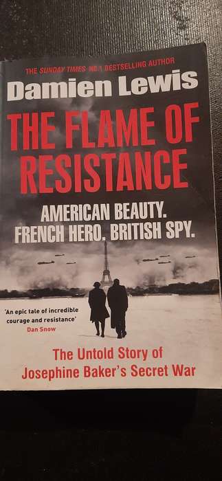 The Flame of resistance by Damien Lewis