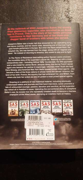 The Flame of resistance by Damien Lewis