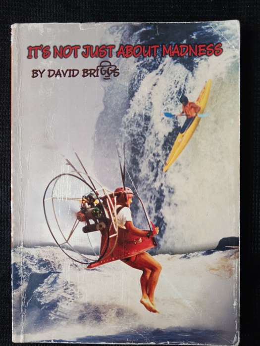 It's not just about madness by David Briggs