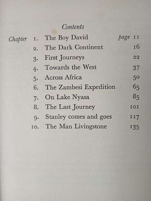 Lion of Africa by Patrick Pringle