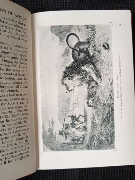 Lion of Africa by Patrick Pringle
