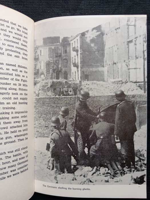 Between Tumbling Walls by Tuvia Borzykowski Translated from Yiddish by Mendel Kohansky