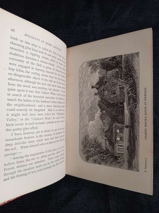 Holidays in Home Counties by Edward Walford