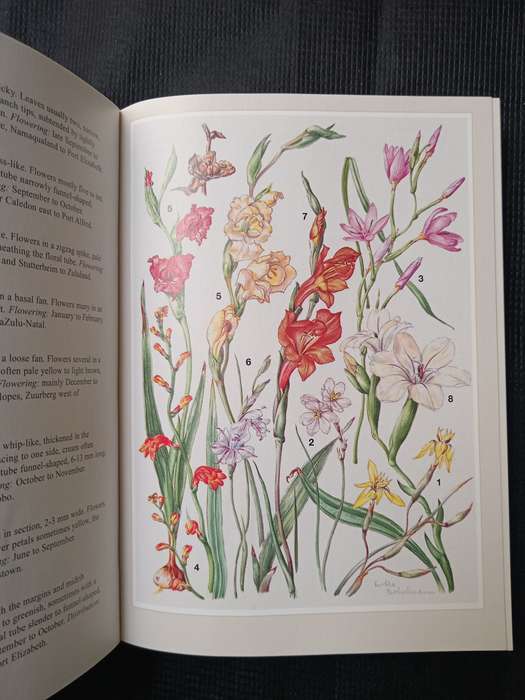 Eastern Cape by John Manning & Auriol Batten & Hertha Bokelmann