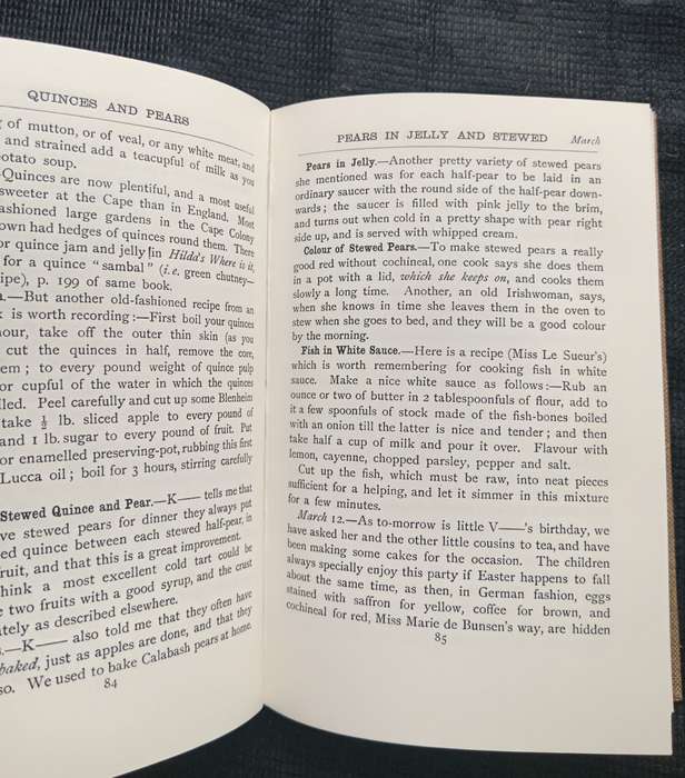 Hikda's Diary of A Cape Housekeeper by Hildagonda J Duckitt