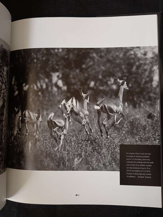 Impressions of Africa by Alain Pons & Philippe Huet