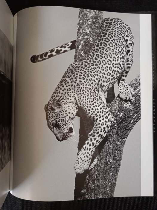 Impressions of Africa by Alain Pons & Philippe Huet