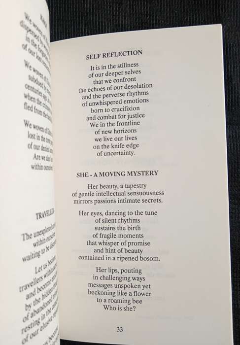 Scattered Reflections by Brian Williams