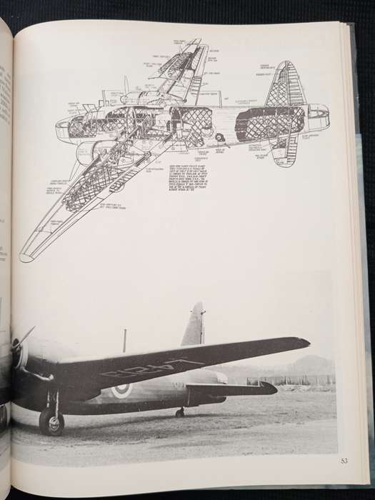 Wellington Special by Alec Lumsden