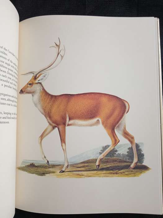 Larousse Animal Portraits by P P Grassé