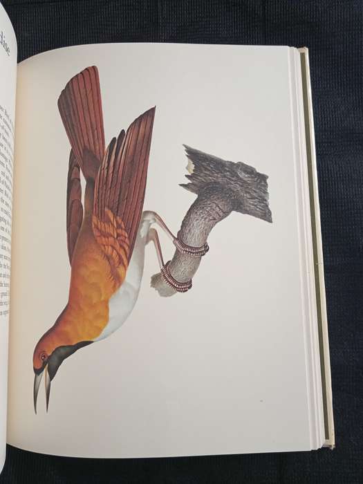 Larousse Animal Portraits by P P Grassé