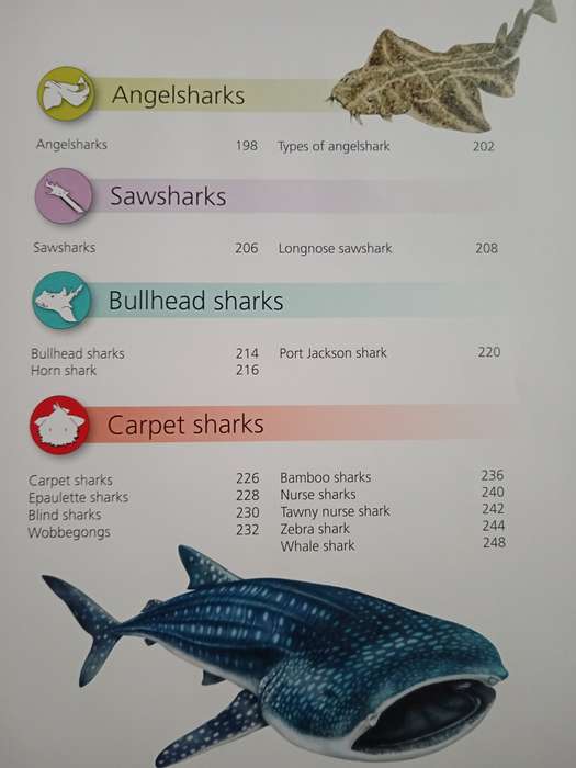 Encyclopedia of Sharks by Barbara Taylor
