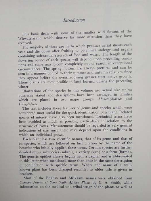 Wild Flowers of the Witwatersrand by Annabelle Lucas