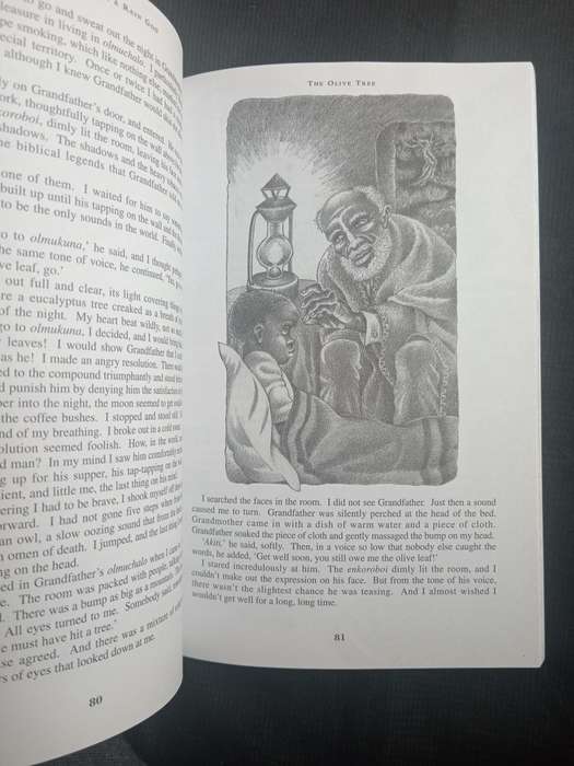 Looking for A Rain God & Other Short Stories from Africa Selected & Introduced by Ian Gordon