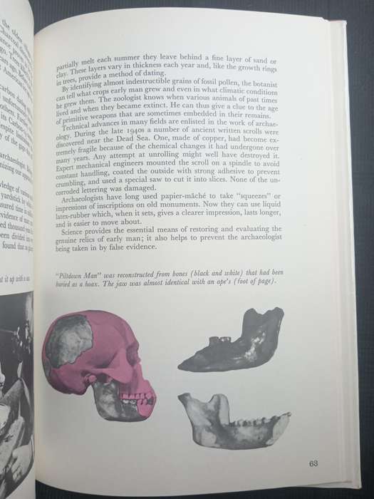 The Wonderful World of Archaeology by Ronald Jessup