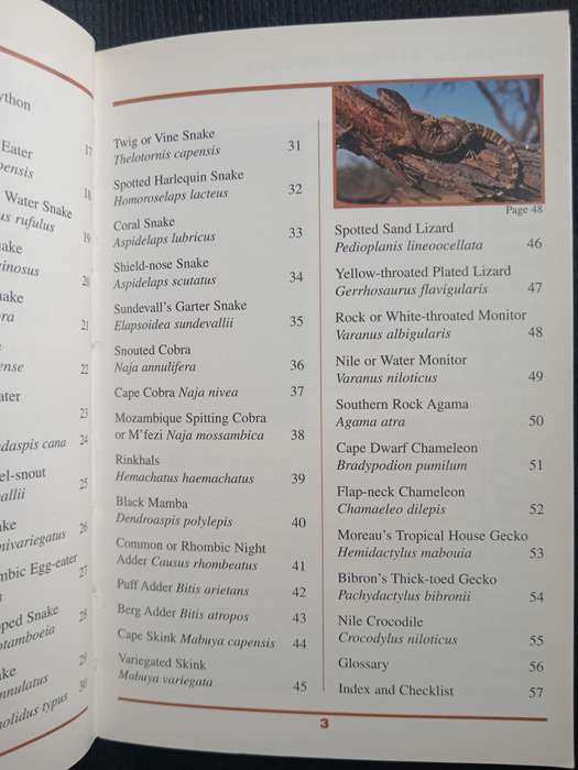 SASOL First Field Guide to Snakes & Other Reptiles of Southern Africa by Tracey Hawthorne