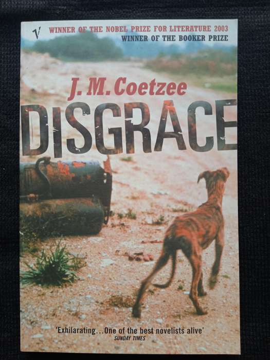 Disgrace by J M Coetzee