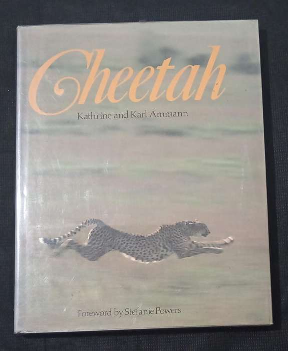 Cheetah by Kathrine & Karl Ammann