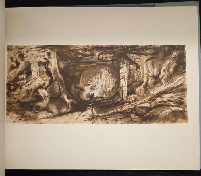 Knysna Forest Scenery Sketches by W D De Vignon van Alphen