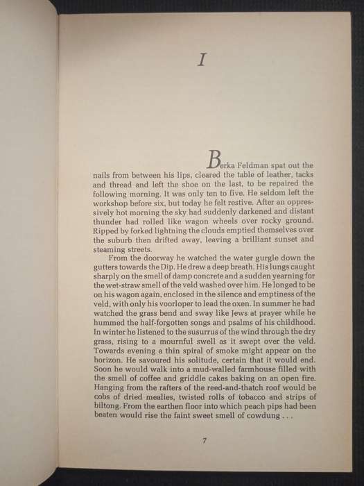 Another Year in Africa by Rose Zwi
