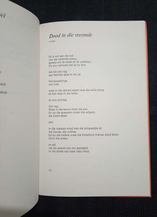 Skip na die Son by Hélène Kesting