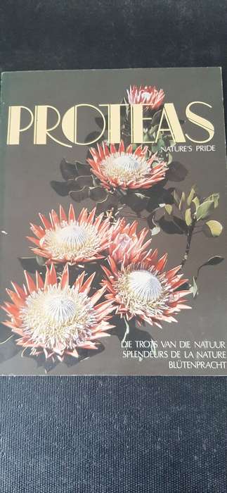 Proteas - Nature's Pride
