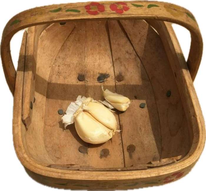 vintage Sussex Trug gathering basket with floral paint detail