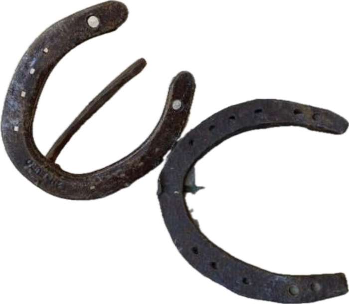 vintage horse shoe coat hook with random horseshoe