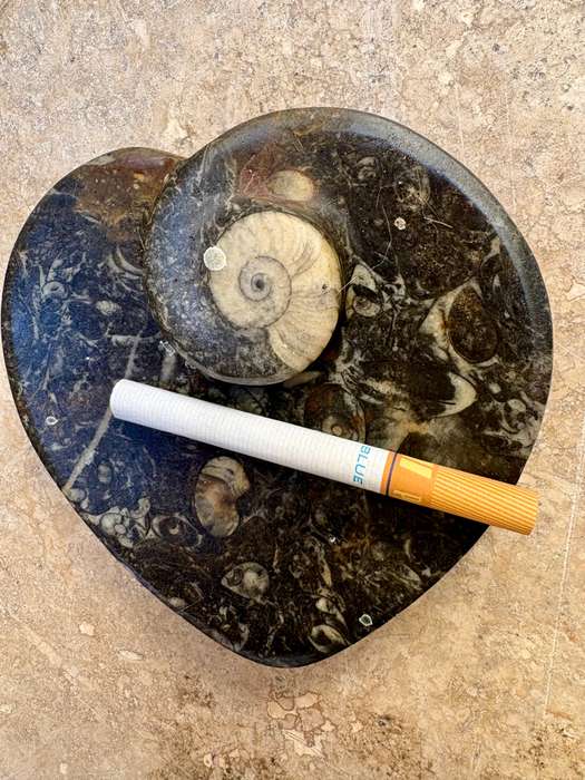 Fossil heart dish Fibonacci