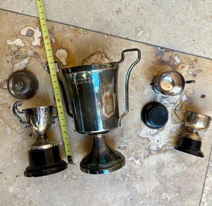 Vintage trophy medium with 3 small blank trophies epns