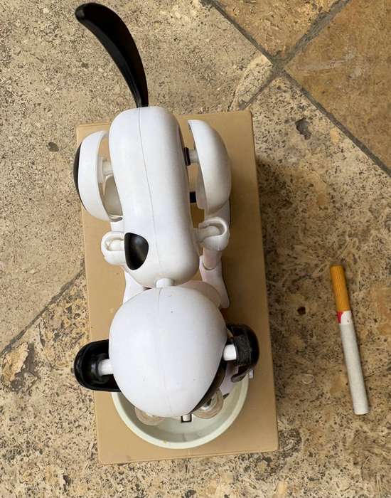 My dog piggy bank hungry coin Choken Bako automated money box