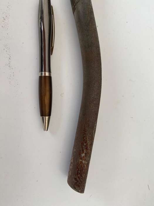 S-shaped File Rasp.
