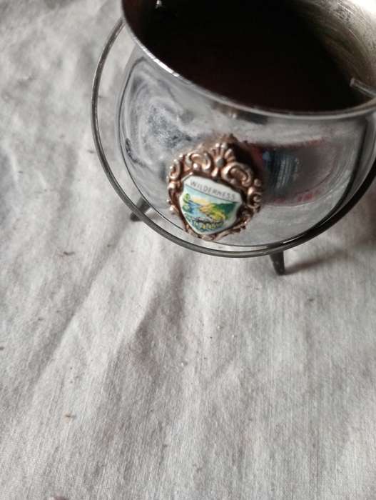 2 SMALL VINTAGE WILDERNESS COLLECTABLES