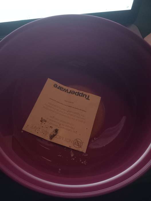 2 litre Tupper bowl with lid