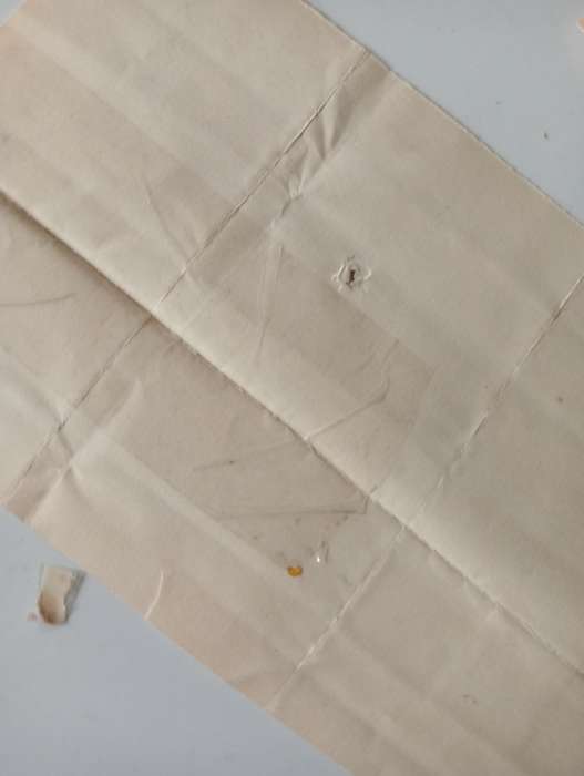 ANTIQUE DOCUMENT  RECEIPT OF RENT  FOR HALF YEAR  FOR AM KRUGER YEAR 1897