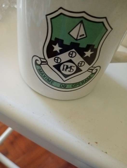 COLLECTABLE MUG MAXIME HIGHSCHOOL