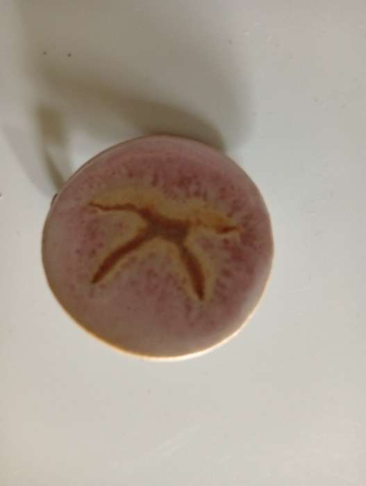 VINTAGE PORCELAIN HAND PAINTED BROOCH