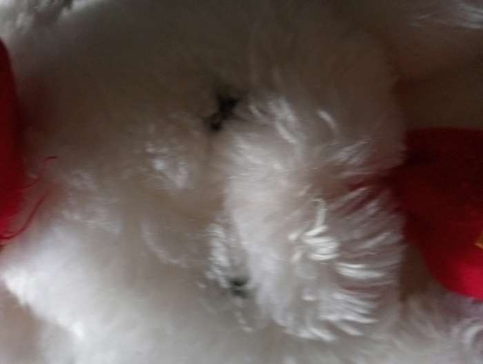 VINTAGE GOOD LUCK TEDDY