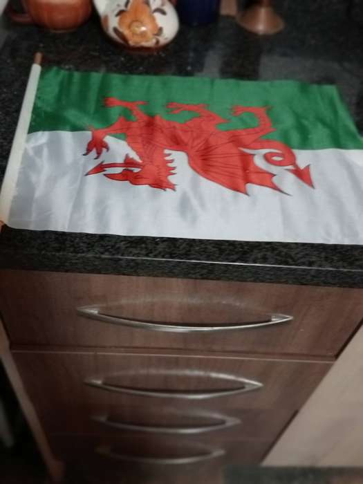 VINTAGE WALES FLAG