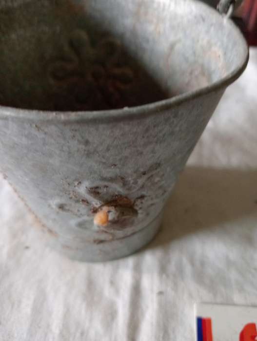 VINTAGE PLANT BUCKET WITH HANDLE