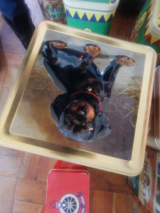 COLLECTABLE DOG TIN