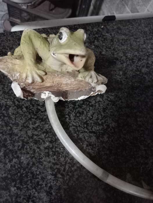 VINTAGE FROG FOR WATER FUTURE