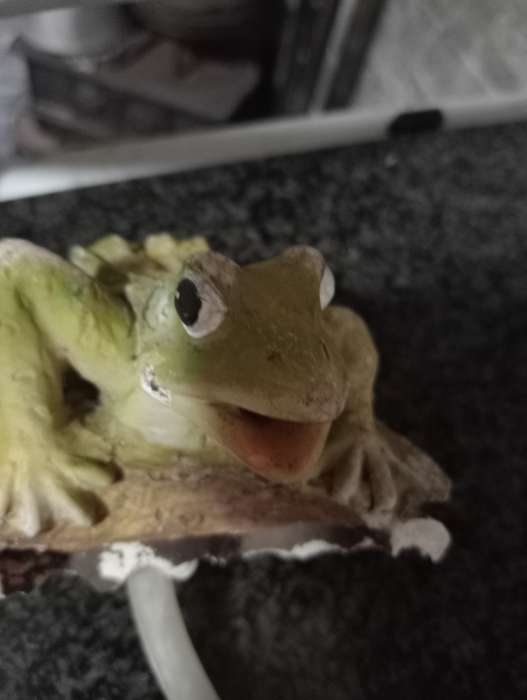 VINTAGE FROG FOR WATER FUTURE