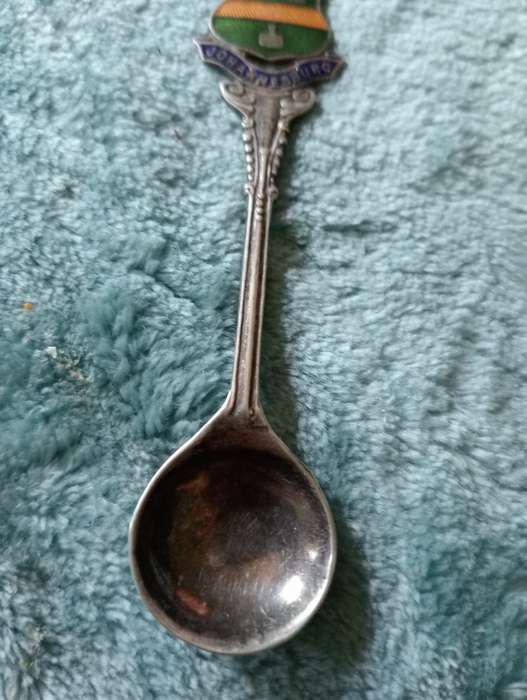 VINTAGE EPNS JOHANNESBURG COLLECTABLE SPOON