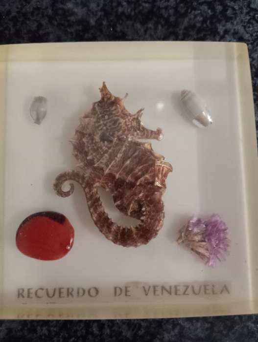 VINTAGE VENEZUELA SOUVENIER IN GLASS
