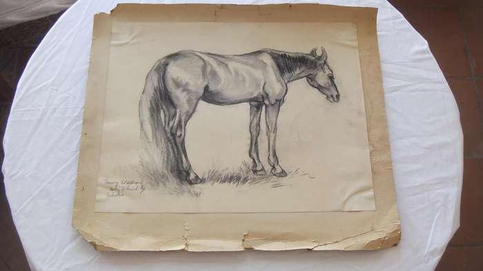 An original pencil sketch by international artist Hedwig Brecher Eibuschitz " horse study "