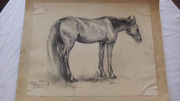 An original pencil sketch by international artist Hedwig Brecher Eibuschitz " horse study "